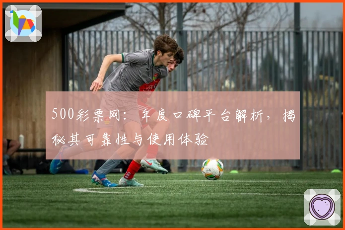 500彩票网：年度口碑平台解析，揭秘其可靠性与使用体验