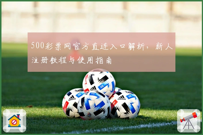 500彩票网官方直连入口解析，新人注册教程与使用指南